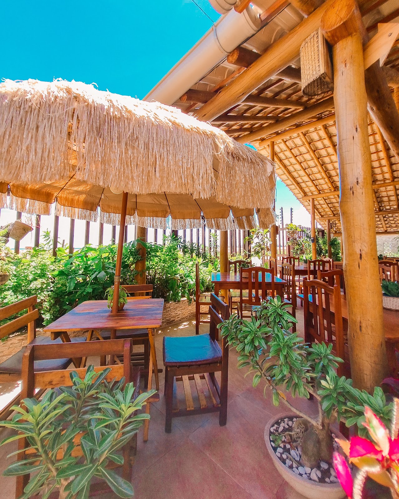 Restaurante Bola Mania - O Alemão do Pecém