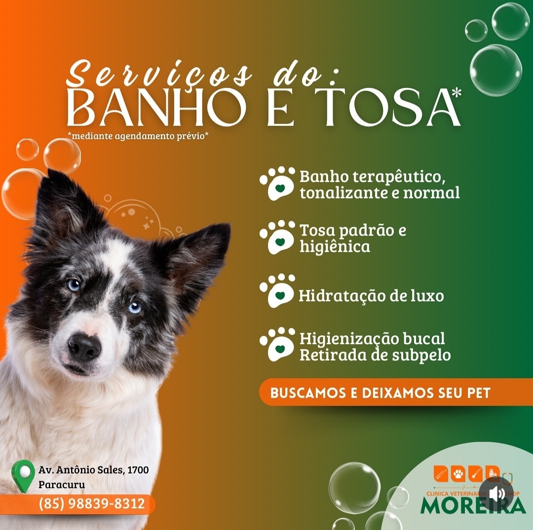 Clínica Veterinária e Pet Shop Moreira