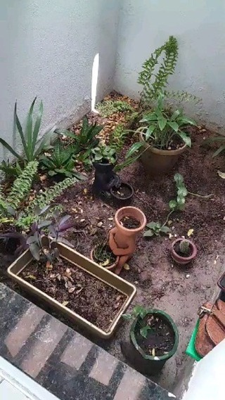 Floricultura JA